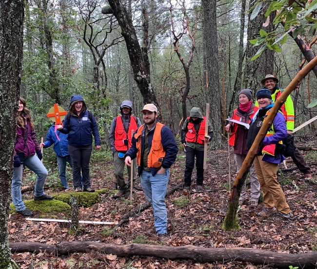 Group of Forest Stewardship workshop participants at a field day in Napa County.