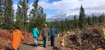Forest Stewardship Workshop participants, Siskiyou field day. for Forest Research and Outreach Blog