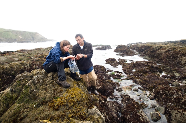 California Master Naturalist Program