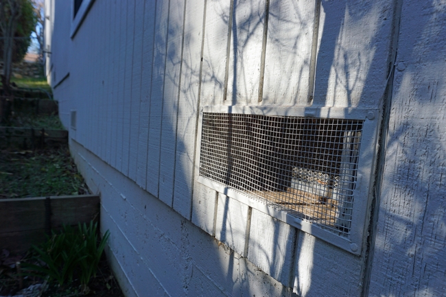 To stop hot embers from drifting into the basement and starting a fire in the home, Wilkin and Johnston installed one-eighth-inch mesh over the vents.