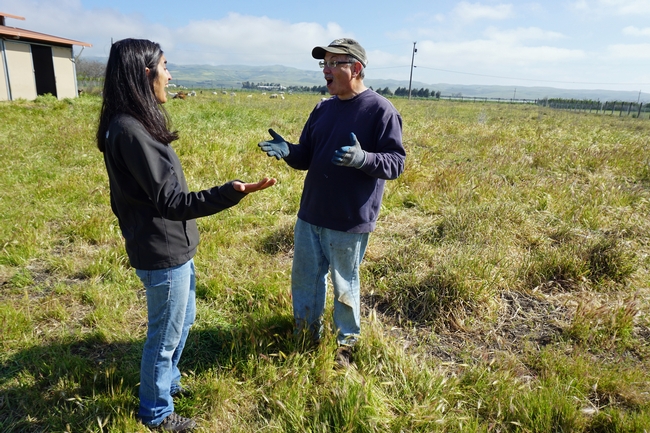 Devii Rao, left, and Michael Cent discuss goats and grasses in his San Benito County pasture.