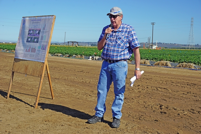Dave Peck of Manzanita Berry Farms presents research results at the UC Cooperative Extension Strawberry Field Day.
