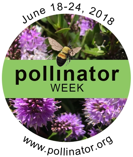 National Pollinator Week logo