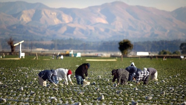 Farm workers