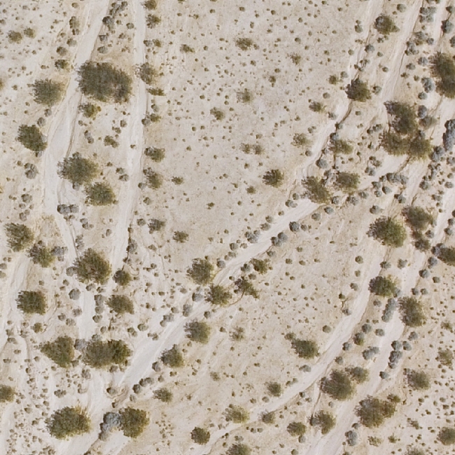 Orthomosaic of desert habitat from above