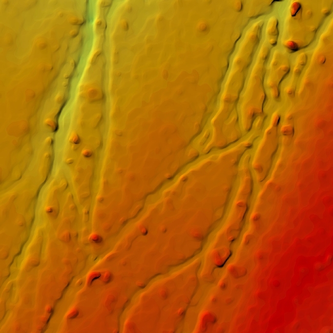 Elevation model created with photogrammetry