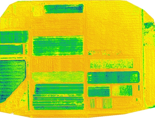 mNDGI image of a field at Desert Research and Extension Center
