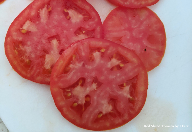 Sliced red tomato