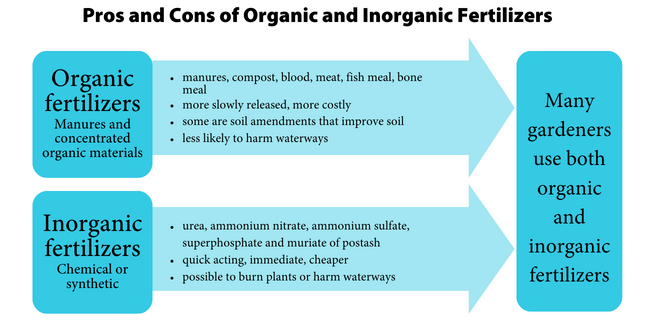 graph showing examples of organic and inorganic fertilizers