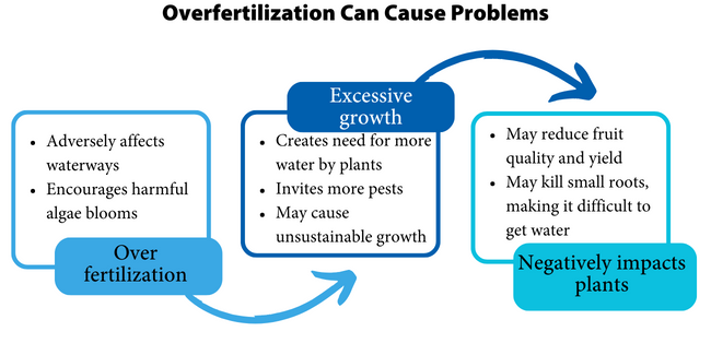 Overfertilization Can Cause Problems
