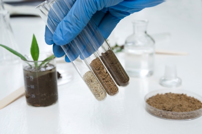 Soil samples shown in a lab setting