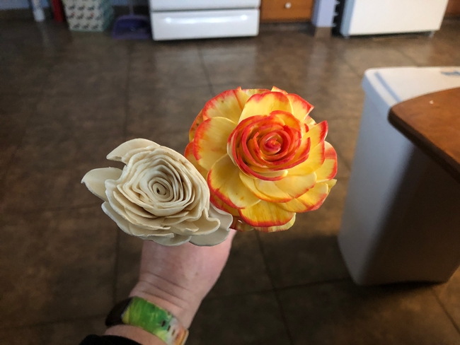 Squished unpainted (cream) sola rose next to a finished yellow and red reshaped rose