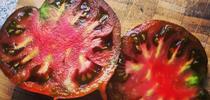 Black krim heirloom tomato from the garden mmmmmmm by xinem is licensed under CC BY 2.0. for The Savvy Sage Blog