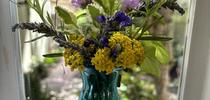 Yarrow 'Little Moonshine' with salvia, pincushion flowers and herbs for The Savvy Sage Blog