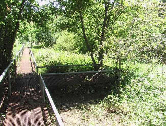 Foot bridge spanning over the marsh