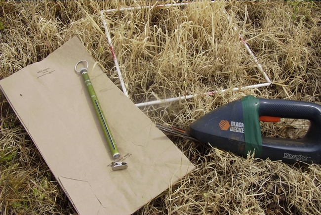 Tools used to clip and measure forage production