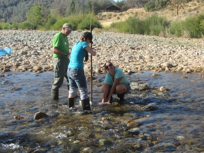 Participants collect benthic macroinvertebreates from the Lower Yuba River.