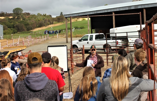 Dan Macon talks to students about low-stress cattle stockmanship methods.