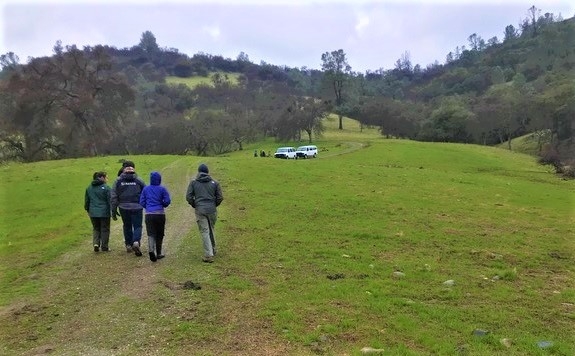 A group of students walking along green, rolling oak hills.