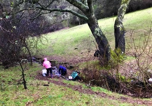 A small group of students stand over a stream to collect data.