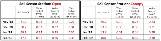 Soil Sensor Station Charts - Open vs Canopy - March 2019