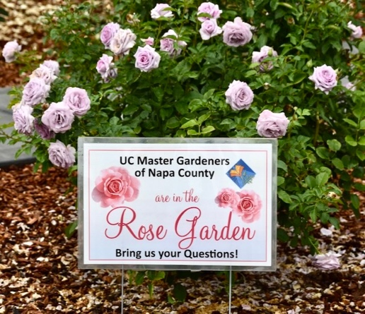 Rose Garden Sign