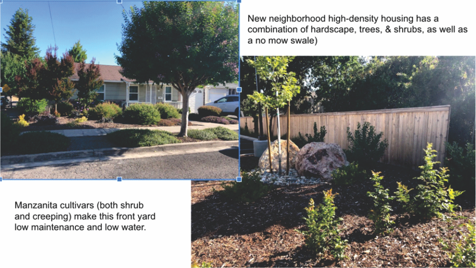 Watering the Garden During a Drought: It's Arid Extra Dry! - HOrT COCO-UC  Master Gardener Program of Contra Costa - ANR Blogs