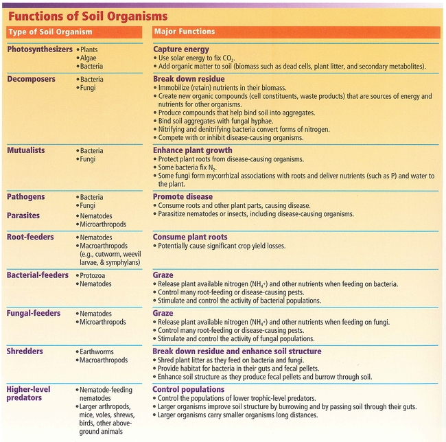 functions of soil organisms-credit usda.gov