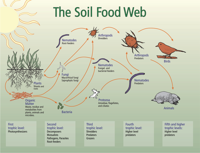 soil web