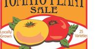 Tomato Sale for Napa Master Gardener Column Blog