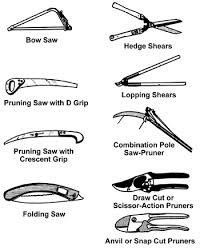 A variety of pruning tools