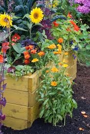 Garden Gold. - Napa Master Gardener Column - ANR Blogs