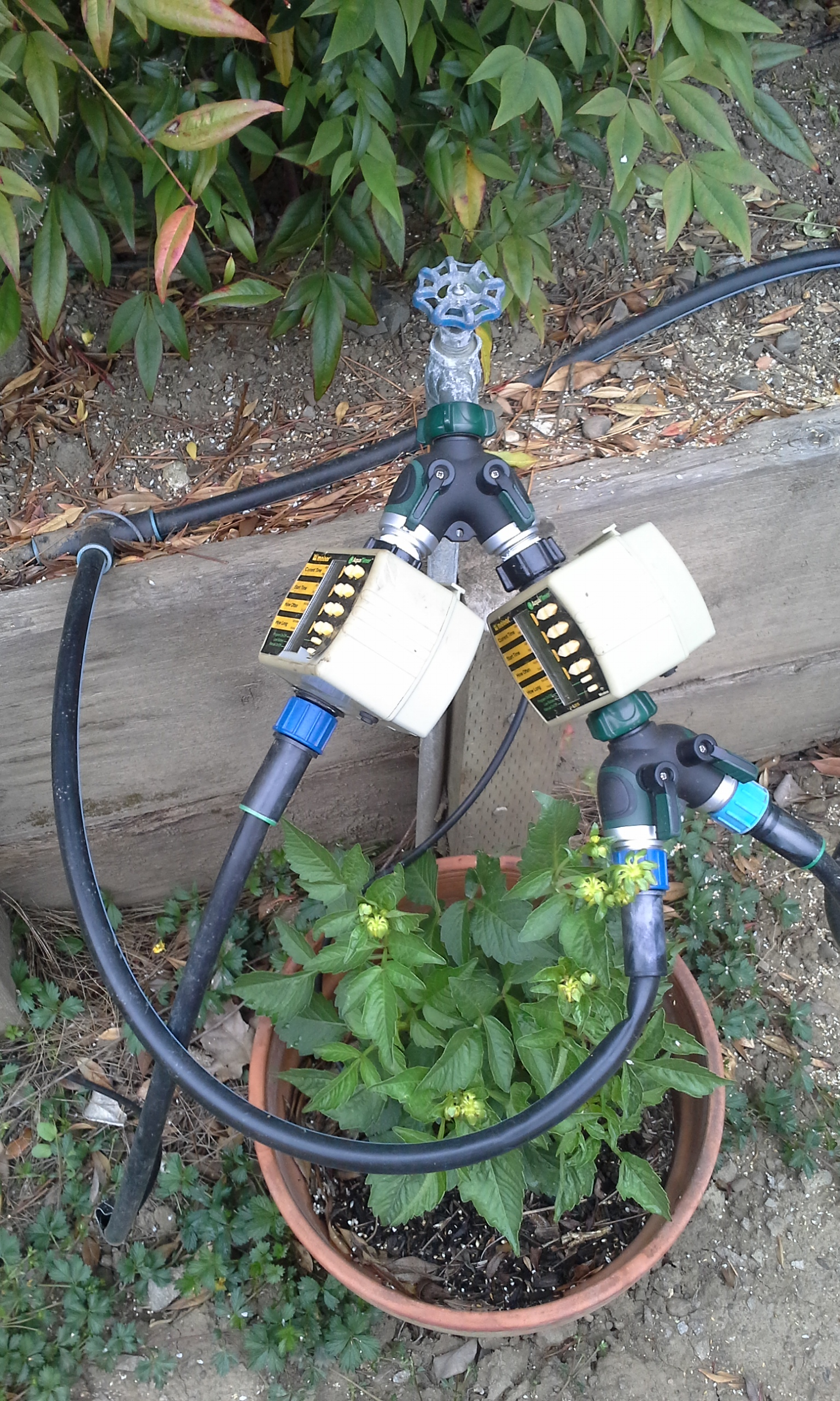 Sprinkler valve installation DIY — A Family Blog