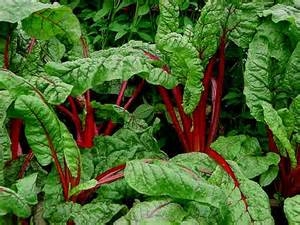 CHARD2