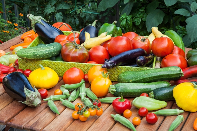 Blog, bountiful-summer-vegetable-harvest