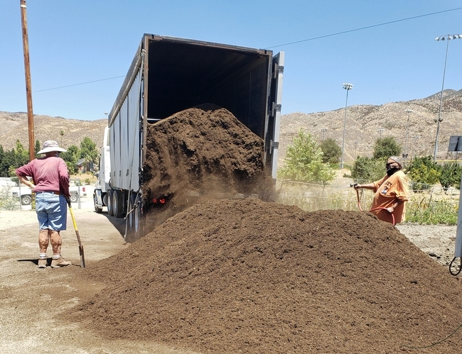 Jardineros maestros de UC supervisan la descarga de veinte toneladas de composta.