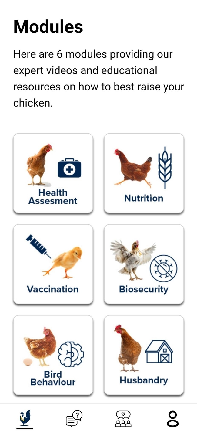 Esta nueva aplicación ofrece información para ayudarle a criar pollos sanos.