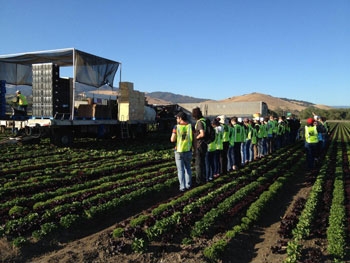 Photo: Learning about field packed lettuce in the Salinas Valley during the 2012 Postharvest Technology Short Course Field Tour, just one of the options for the Produce Professional Certificate Program.