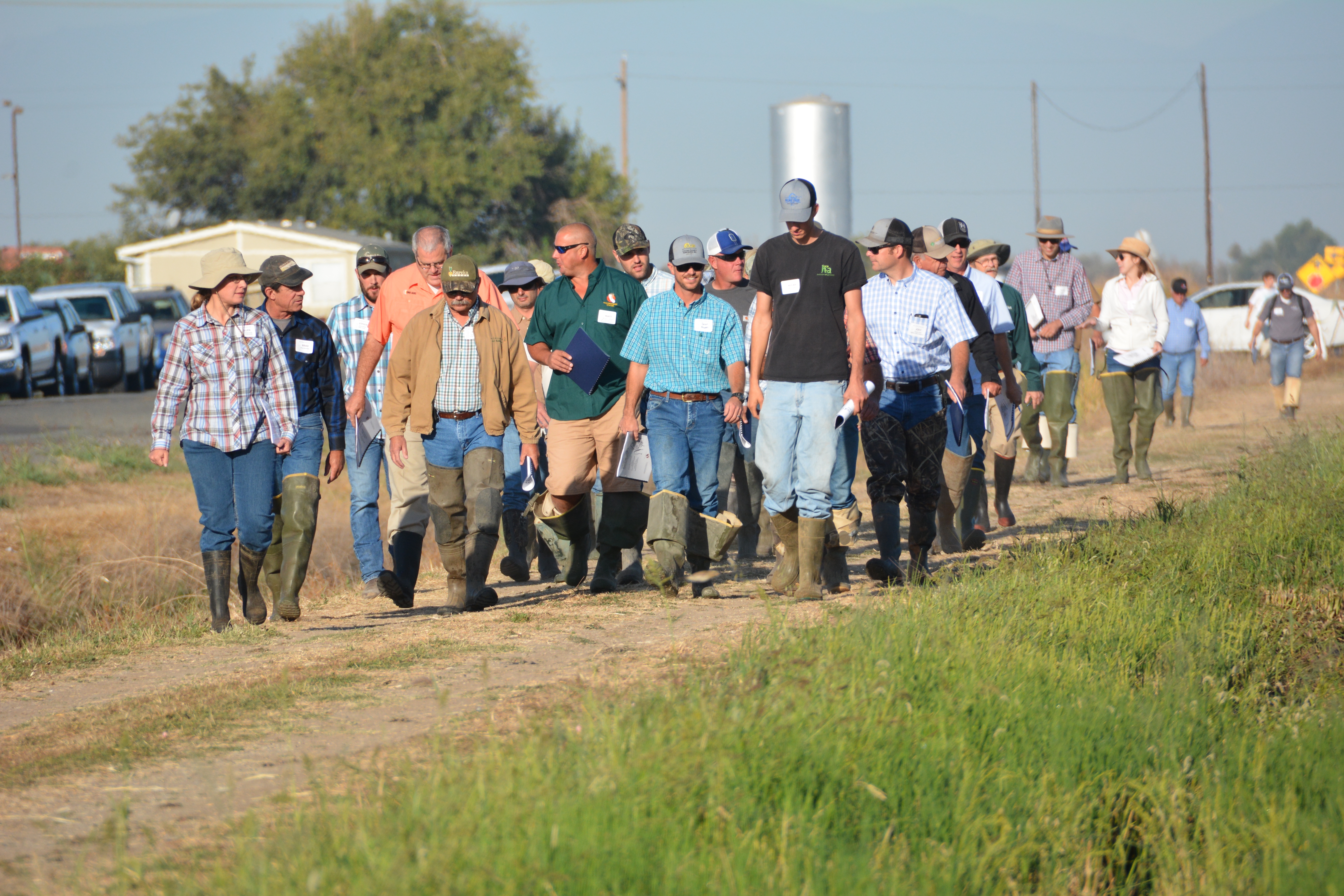 Participants head to the field (2016). Photo by Dana Dickey
