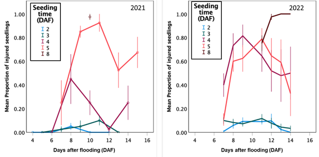 Line graphs of seeding time and its relation to seedling injury