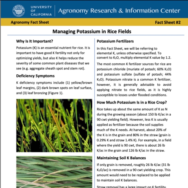 Fact Sheet #2: Managing Potassium in Rice Fields