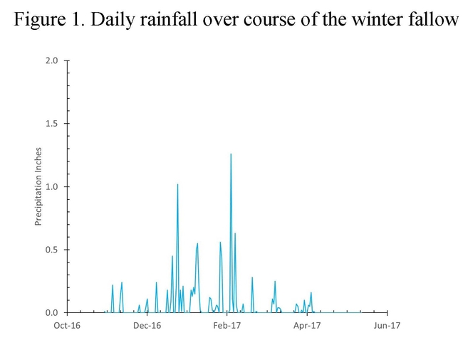 Figure 1. Daily rainfall over course of the winter fallow