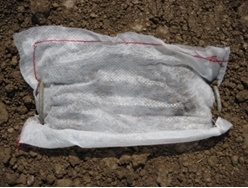 Organic fertilizer pouch on soil surface