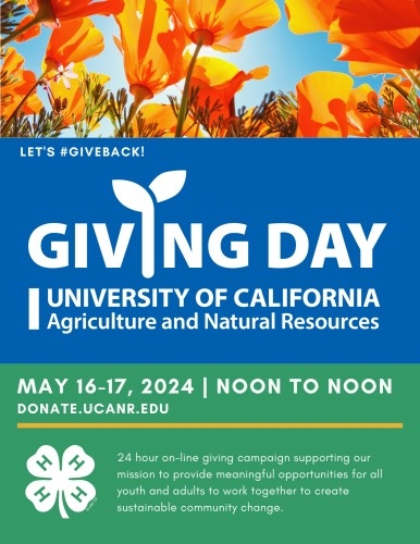 4-H Giving Day Image