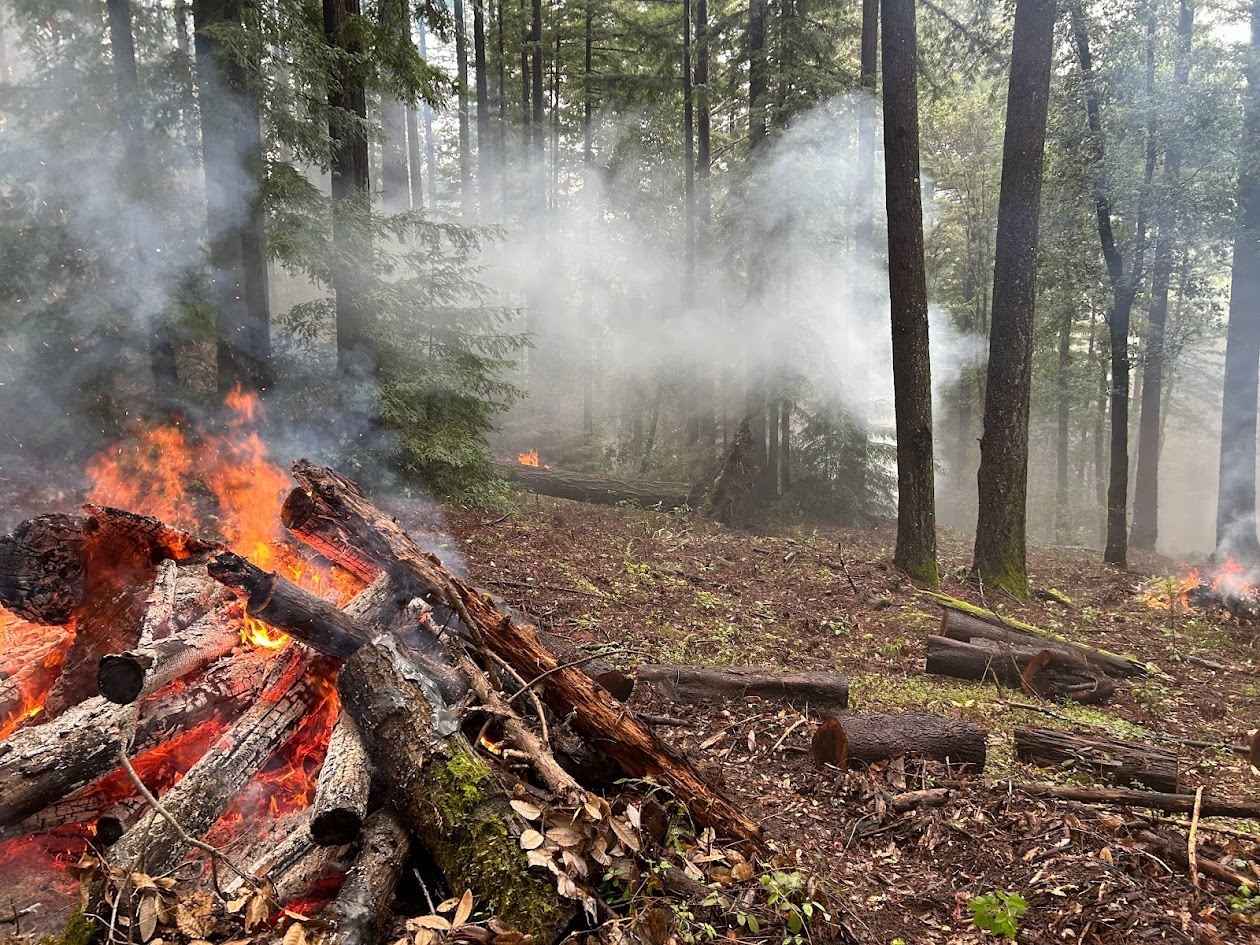 Pile Burns in the Santa Cruz Mountains Santa Cruz Forests Blog