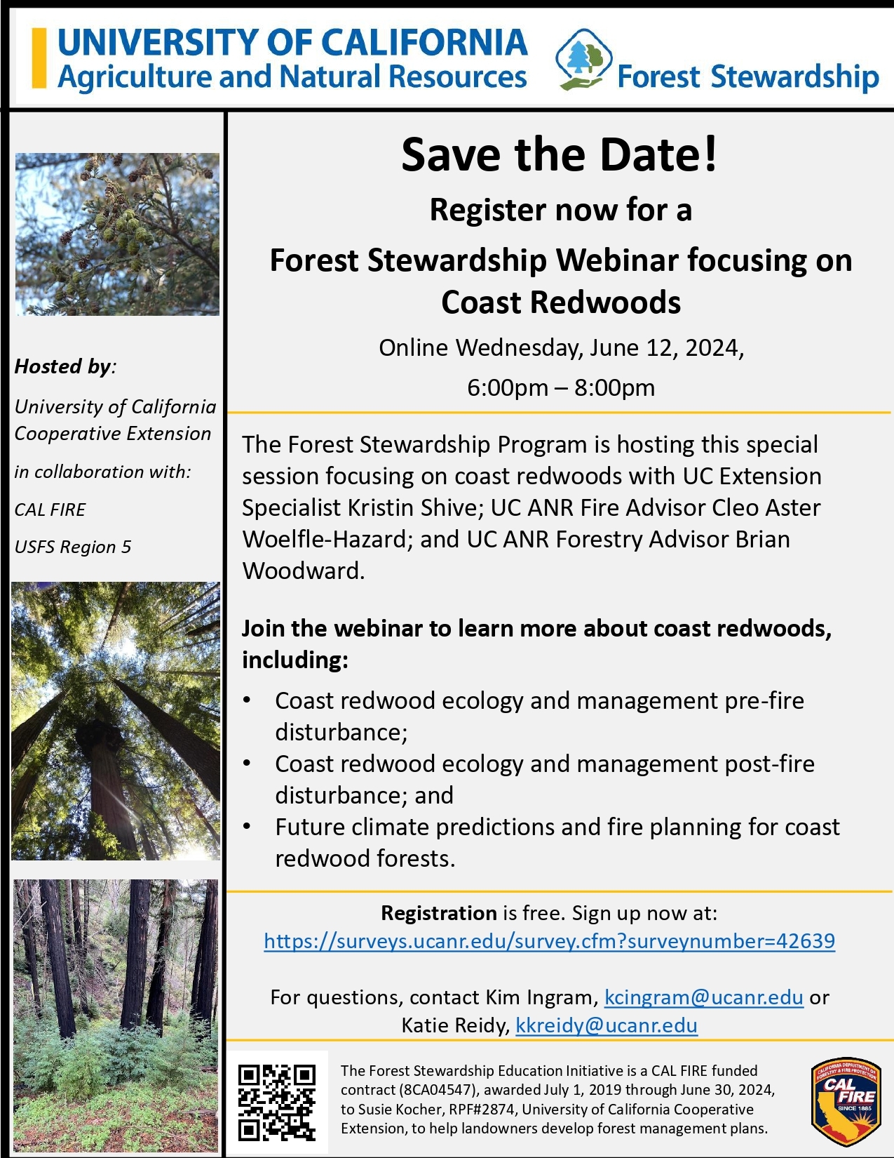 Coast Redwoods Stewardship Webinar Planned For June - Santa Cruz 