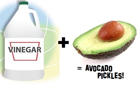 vinegar plus avocado equals avocado pickles!