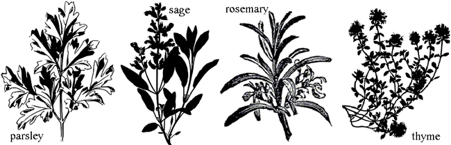Parsely sage rosemary and thyme