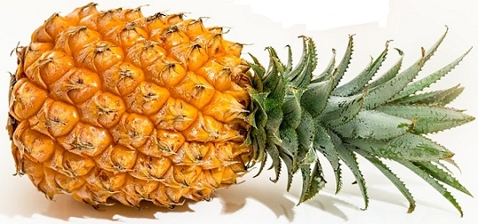 delicious ripe pineapple