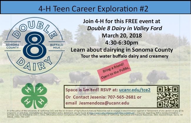 double 8 dairy flyer
